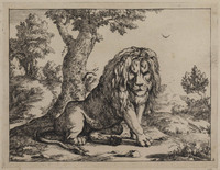 TvB G 0494
<br/>
Zittende leeuw
<br/>
<em>Bije, Marcus de (1639-ca. 1690)</em>